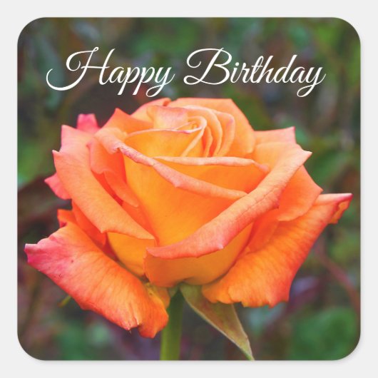 Happy Birthday Caribbean Rose #2 Stickers (Vorderseite)