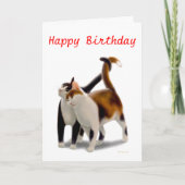 Happy Birthday Cat Friends Card Karte (Vorderseite)