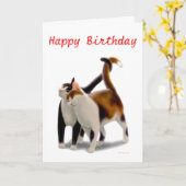 Happy Birthday Cat Friends Card Karte (Gelbe Blume)
