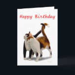Happy Birthday Cat Friends Card Karte<br><div class="desc">Originelles Kunstdesign von zwei freundlichen Katzen von Carolyn McFann von Two Purring Cats Studio auf einer individuell anpassbaren Geburtstagskarte für Fans von Katzen. 
 
 Sehen Sie sich unten einige unserer Produkte an (klicken Sie,  um zu diesem Produkt zu gelangen) und besuchen Sie unsere Kunstgeschäfte unter:</div>
