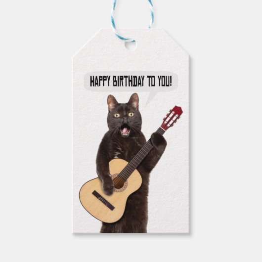 Happy Birthday Cat Gesang und Gitarre spielen Geschenkanhänger (Vorderseite)