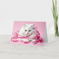 Happy Birthday Cat in Pink Ribbons