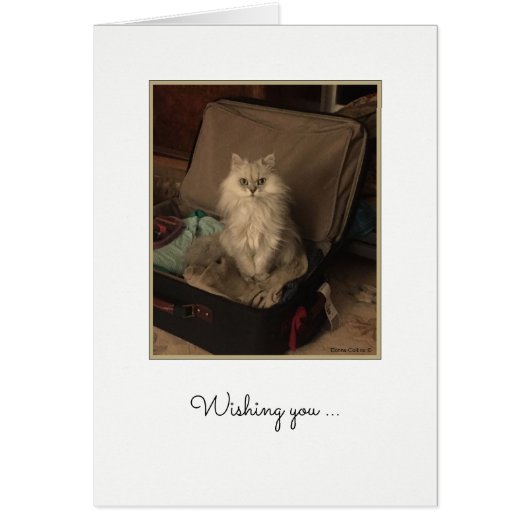 Happy Birthday Cat in Suitcase Card (Vorne)