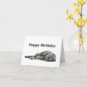 Happy Birthday Cat Lover Card Karte (Gelbe Blume)