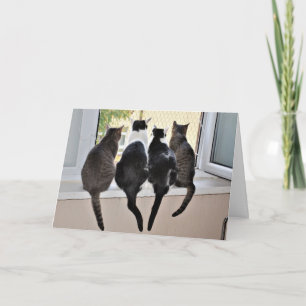 Happy Birthday Cat Lover Card Karte