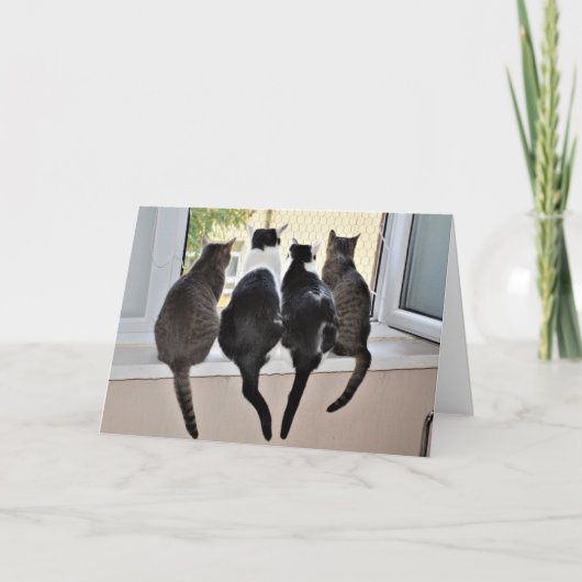 Happy Birthday Cat Lover Card Karte (Vorderseite)