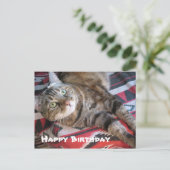 Happy Birthday Cat Postkarte (Stehend Vorderseite)
