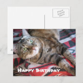 Happy Birthday Cat Postkarte (Vorne/Hinten)