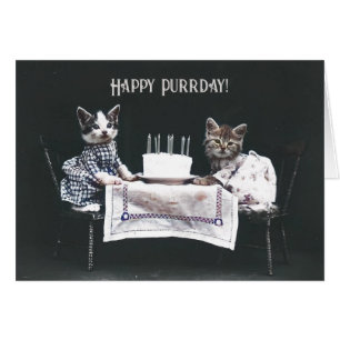 Happy Birthday Cats Vintage leere Faltkarte