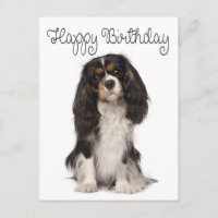 Happy Birthday Cavalier King Charles Spaniel