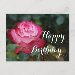 Happy Birthday Cherry Parfait Rose #3 Postkarte