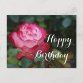 Happy Birthday Cherry Parfait Rose #3 Postkarte (Vorderseite)