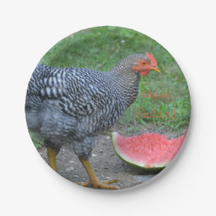 Happy Birthday Chicken Lieben Watermelon Pappteller