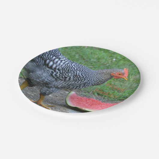 Happy Birthday Chicken Lieben Watermelon Pappteller (Schrägansicht)