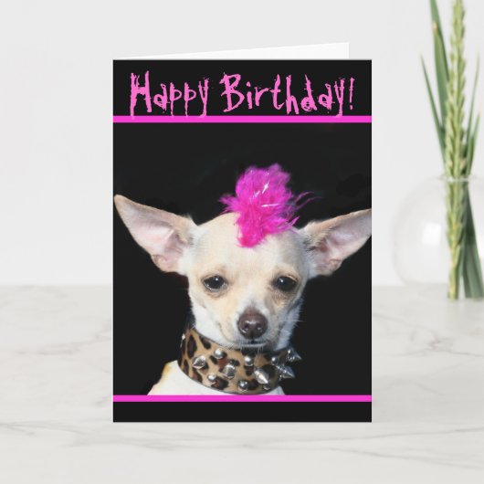 Happy Birthday Chihuahua Punk greeting card Karte (Vorderseite)