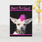Happy Birthday Chihuahua Punk greeting card Karte (Gelbe Blume)
