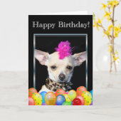 Happy Birthday Chihuahua Punk Grußkarte Karte (Gelbe Blume)