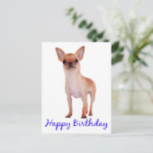 Happy Birthday Chihuahua Puppy Blue - Verse Postkarte (Stehend Vorderseite)