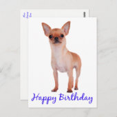 Happy Birthday Chihuahua Puppy Blue - Verse Postkarte (Vorne/Hinten)