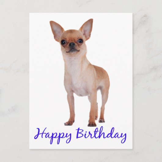 Happy Birthday Chihuahua Puppy Blue - Verse Postkarte (Vorderseite)