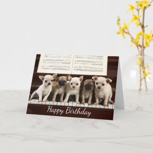 Happy Birthday Chihuahua Puppy Dog (Chewawa) Karte (Gelbe Blume)