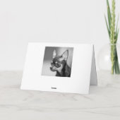 Happy Birthday Chihuahua Puppy Dog Grußkarte Karte (Rückseite)