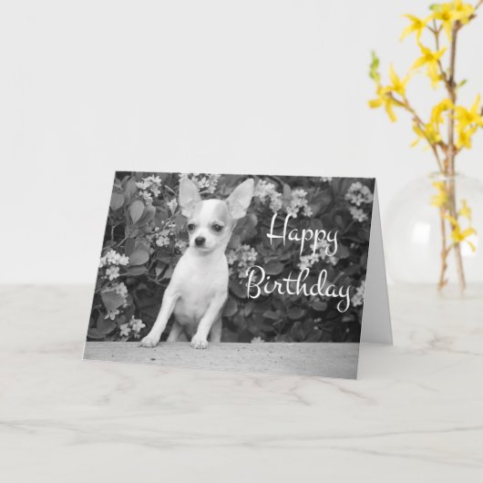 Happy Birthday Chihuahua Puppy Dog Grußkarte Karte (Gelbe Blume)