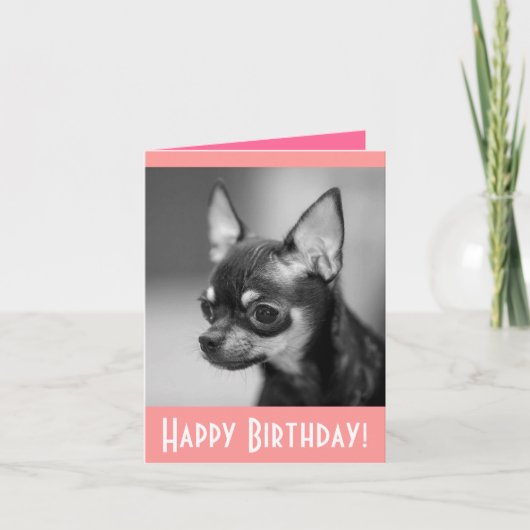 Happy Birthday Chihuahua Puppy Dog Grußkarte Karte (Vorderseite)