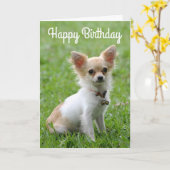 Happy Birthday Chihuahua Puppy Dog Grußkarte Karte (Gelbe Blume)