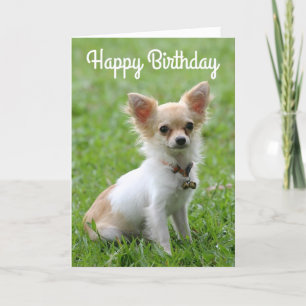 Happy Birthday Chihuahua Puppy Dog Grußkarte Karte