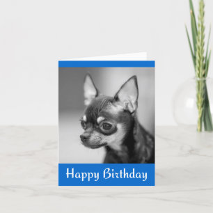 Happy Birthday Chihuahua Puppy Dog Grußkarte Karte