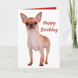 Happy Birthday Chihuahua Puppy Dog Puppies Dogs Karte