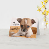 Happy Birthday Chihuahua Puppy Dog - Verse Karte (Gelbe Blume)