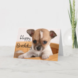 Happy Birthday Chihuahua Puppy Dog - Verse Karte
