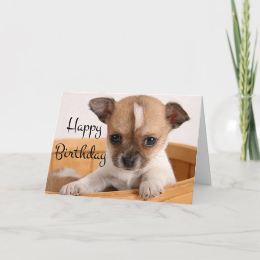 Happy Birthday Chihuahua Puppy Dog - Verse Karte (Vorderseite)
