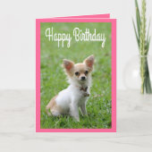 Happy Birthday Chihuahua Puppy Pink Grußkarte Karte (Vorderseite)