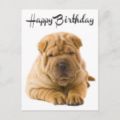 Happy Birthday Chinese Shar Pei Puppy Dog Card Postkarte (Vorderseite)