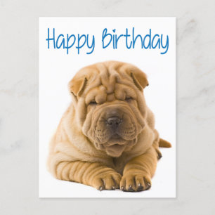 Happy Birthday Chinese Shar Pei Puppy Dog Card Postkarte