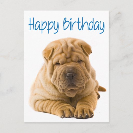 Happy Birthday Chinese Shar Pei Puppy Dog Card Postkarte (Vorderseite)