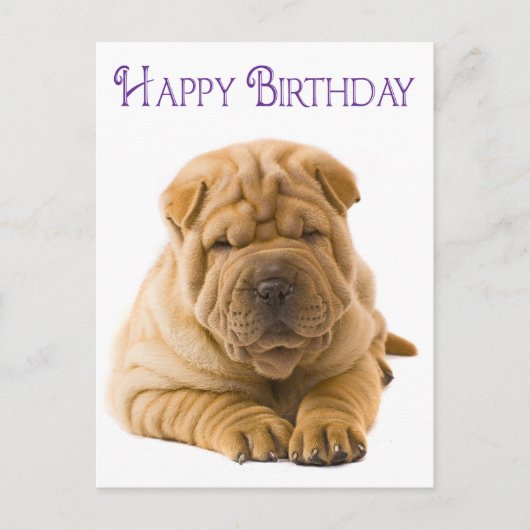 Happy Birthday Chinese Shar Pei Puppy Dog Card Postkarte (Vorderseite)