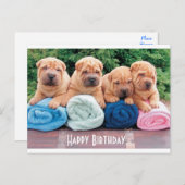 Happy Birthday Chinese Shar Pei Puppy Dog Postkart Postkarte (Vorne/Hinten)