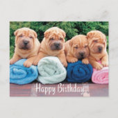 Happy Birthday Chinese Shar Pei Puppy Dog Postkart Postkarte (Vorderseite)