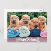 Happy Birthday Chinese Shar Pei Puppy Dog Postkart Postkarte (Vorne/Hinten)