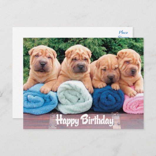 Happy Birthday Chinese Shar Pei Puppy Dog Postkart Postkarte (Vorne/Hinten)