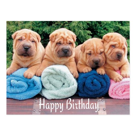 Happy Birthday Chinesisch Shar Pei Welpe Hund Post Postkarte Zazzle De