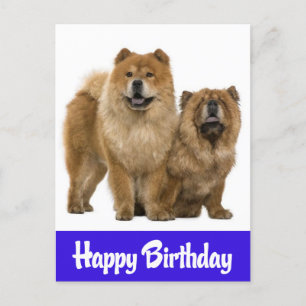 Happy Birthday Chow Chow Welpe Hund Postkarte