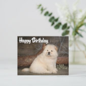 Happy Birthday Chow Chow Welpe Hund Postkarte (Stehend Vorderseite)