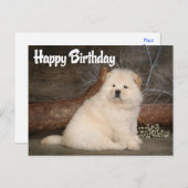 Happy Birthday Chow Chow Welpe Hund Postkarte (Vorne/Hinten)