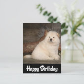 Happy Birthday Chow Chow Welpe Hund schwarze Postk Postkarte (Stehend Vorderseite)