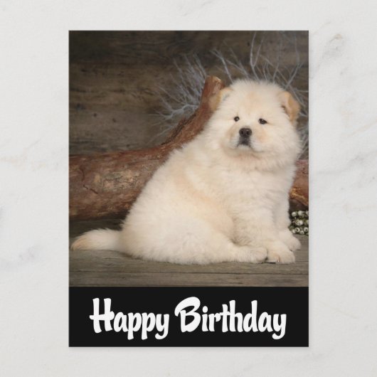 Happy Birthday Chow Chow Welpe Hund schwarze Postk Postkarte (Vorderseite)